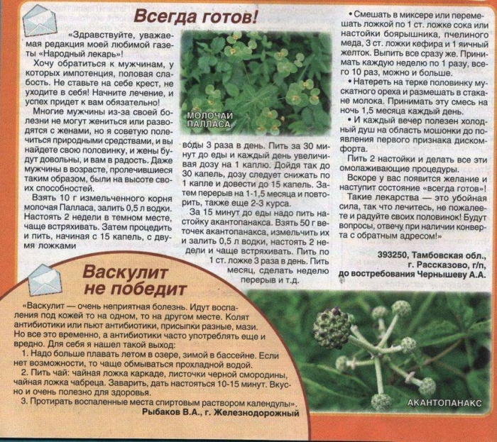 Лечебная трава сныть обыкновенная