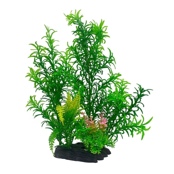 Дубок аквариумное растение