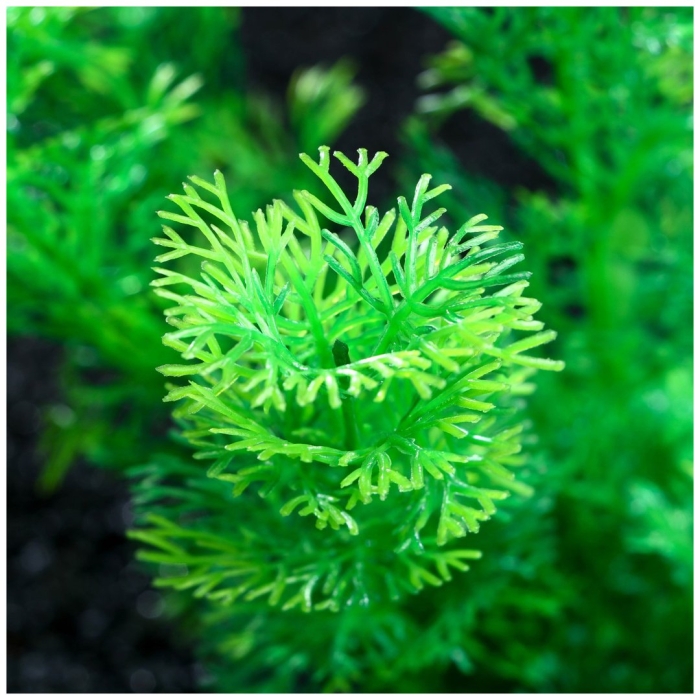 Растение искусственное аквариумное