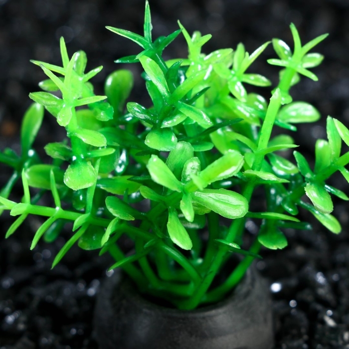 Растение искусственное аквариумное светящееся