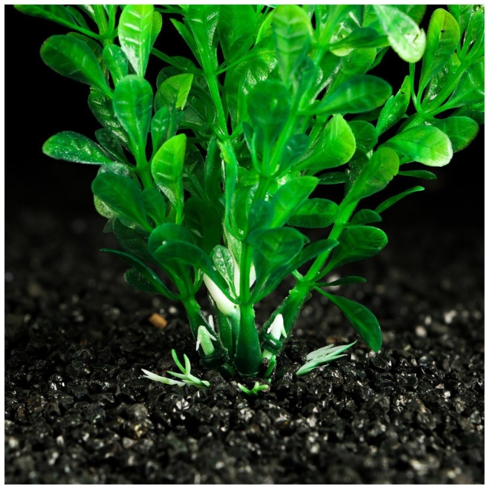 Пижон аква растение искусственное аквариумное