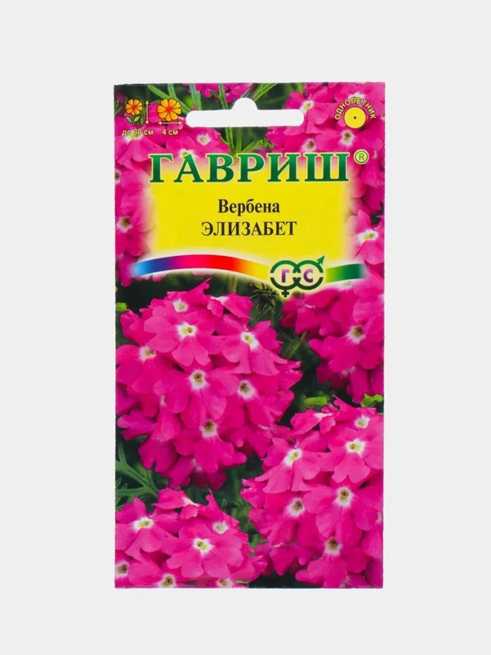 Вербена элизабет