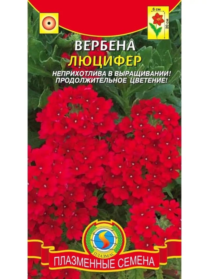 Вербена люцифер ред низкая гавриш ц