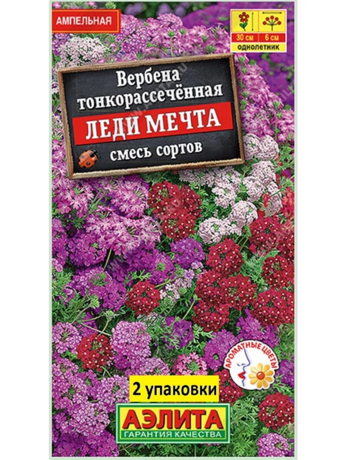 Вербена леди мечта смесь