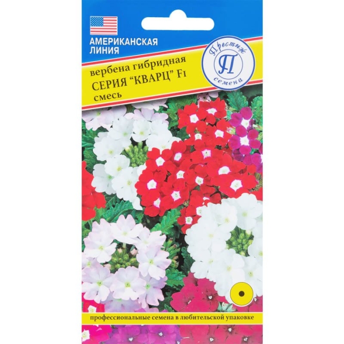 Вербена гибридная сорта кварц-микс
