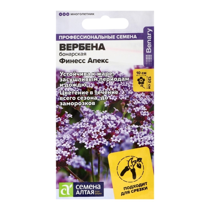 Вербена бонарская финесс