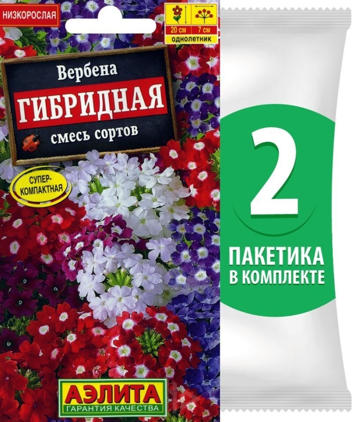 Вербена гибридная искушение смесь сортов