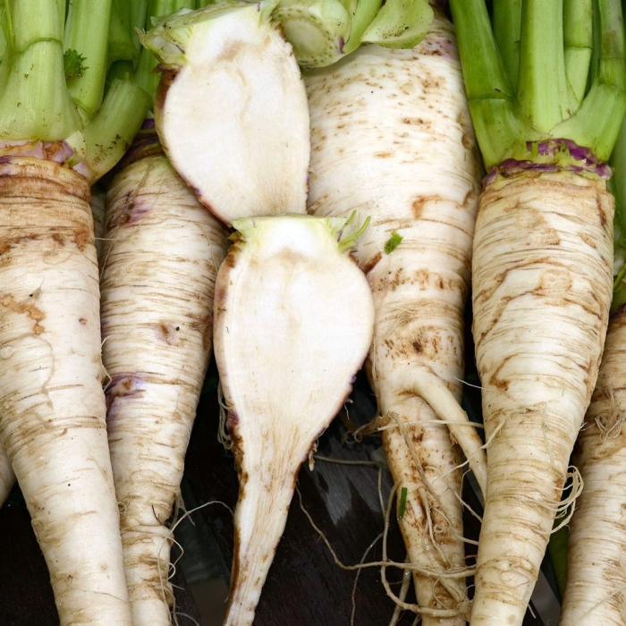 Турнепс корнеплоды