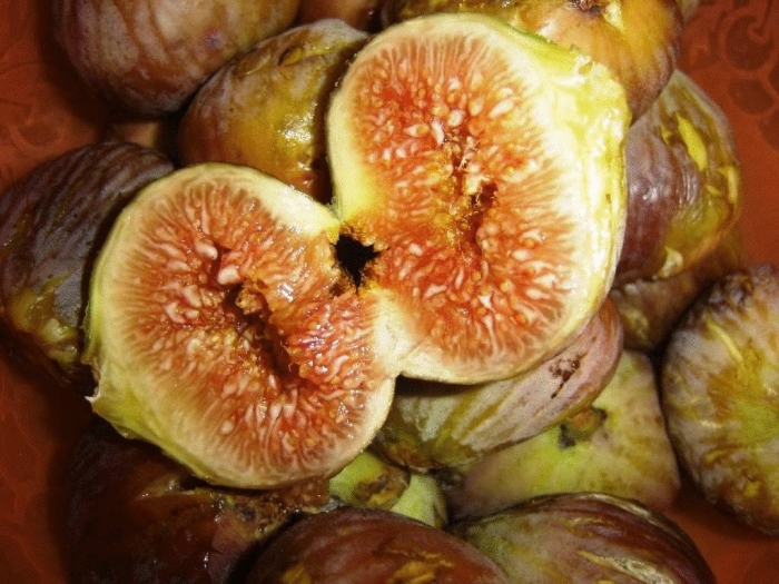 Инжир в египте