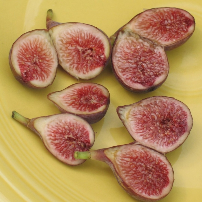 Плод инжира