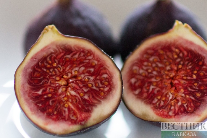 Инжир крымский черный