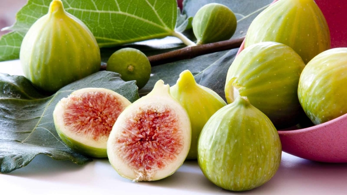 Инжир белый