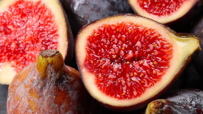 Инжир фиговое дерево