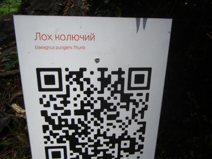 Таблички для растений