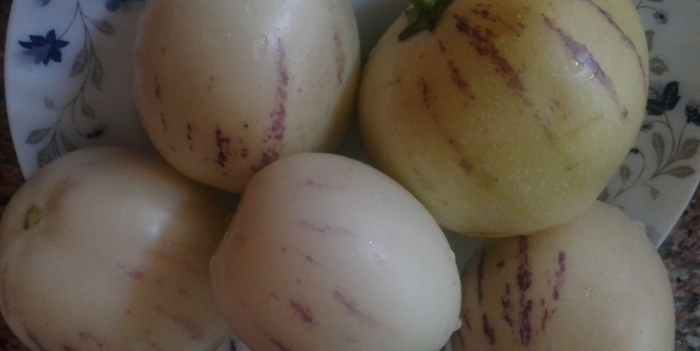 Пепино турция