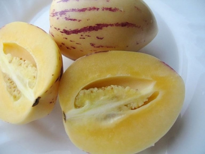 Дынная груша пепино консуэло