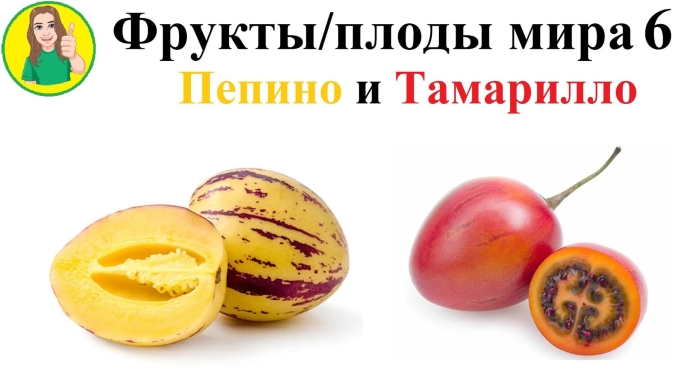Экзотический фрукт тамарилло