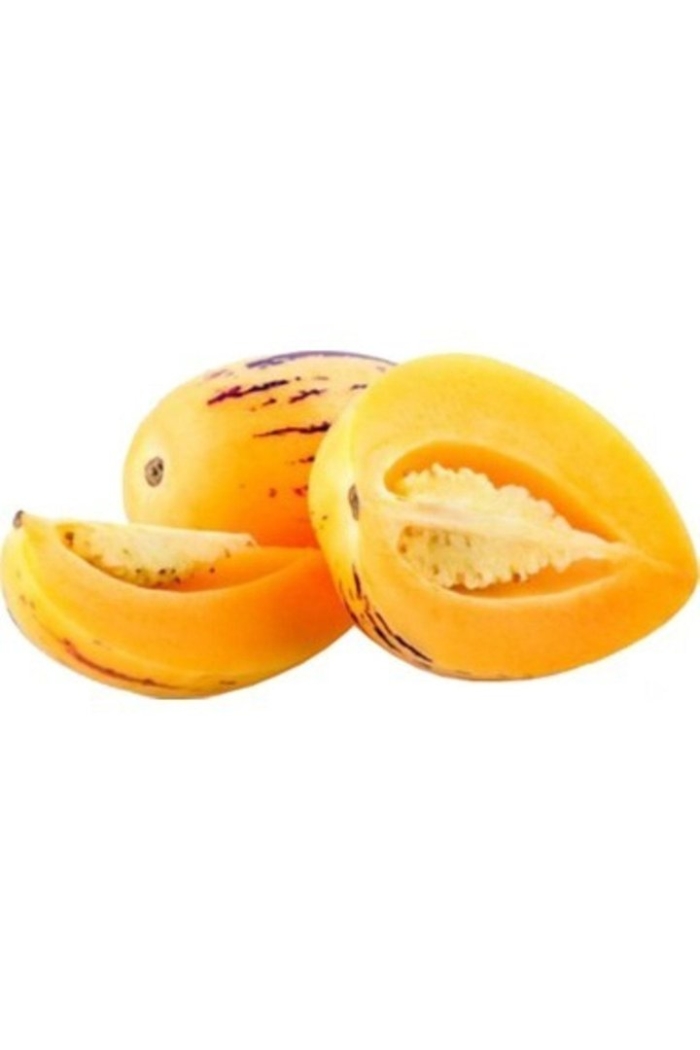 Пепино дынная