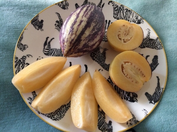 Пепино дынная груша