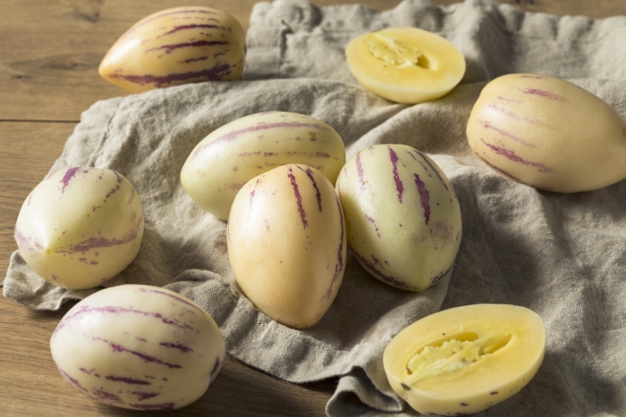 Пепино консуэло