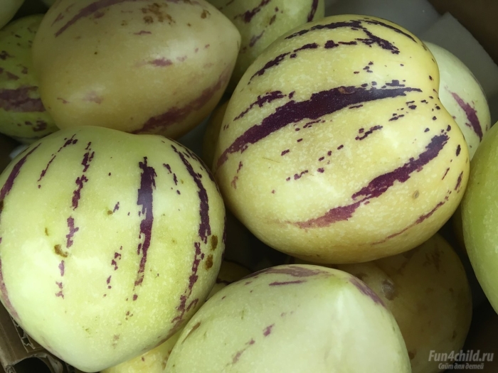 Пепино дынная