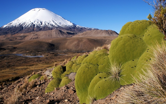 Национальный парк лаука чили
