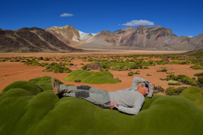 Альтиплано боливия