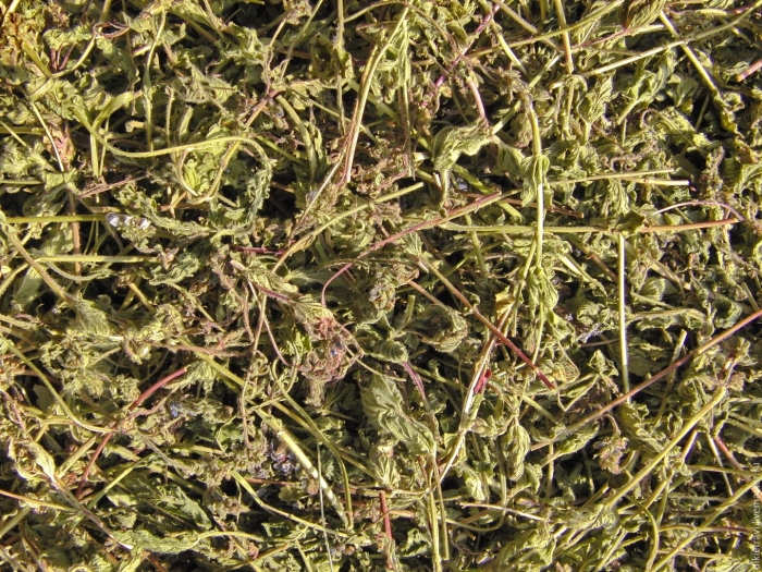 Сушеная трава