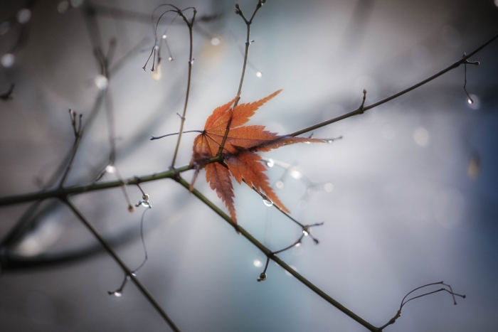 Дождливая осень