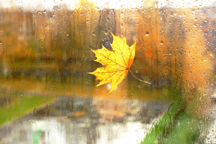 Дождь осенний