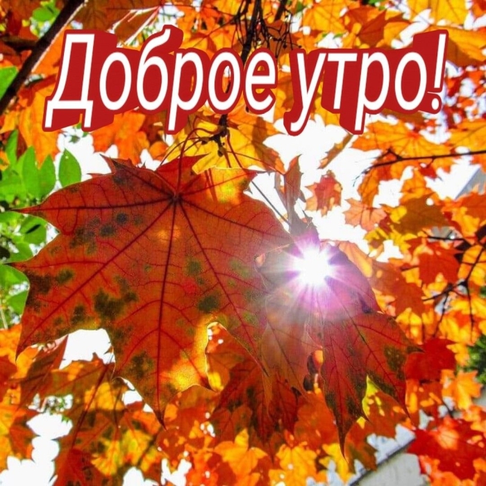 Солнечная осень