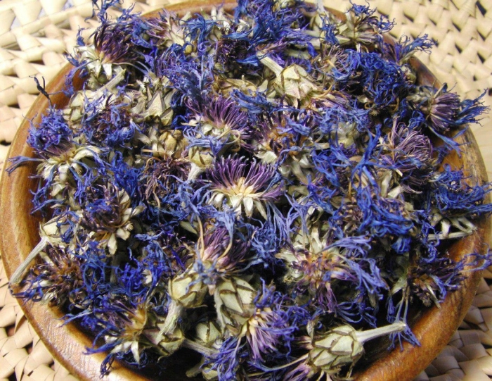 Лрс василька синего