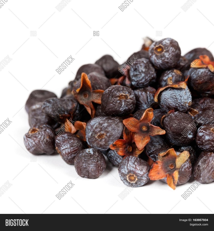 Хурма дагестанская дикая