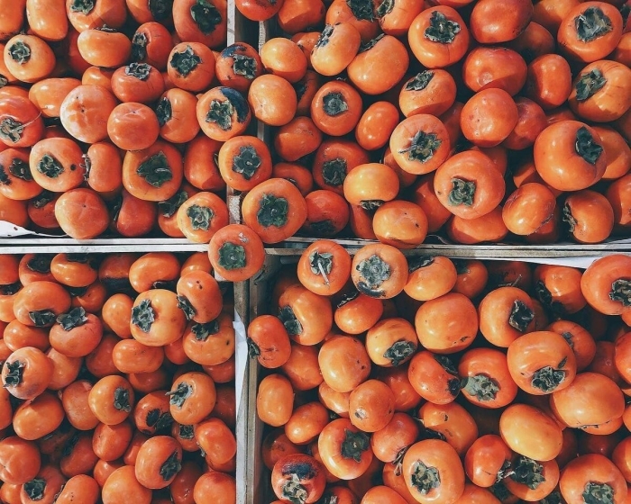 Хурма дичка