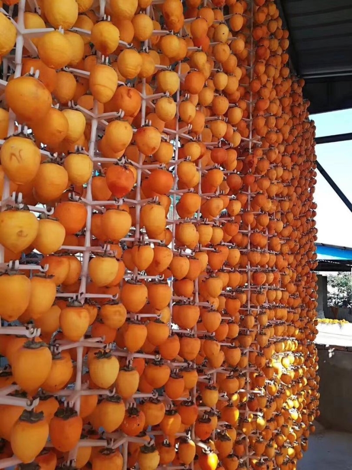 Дагестанская хурма