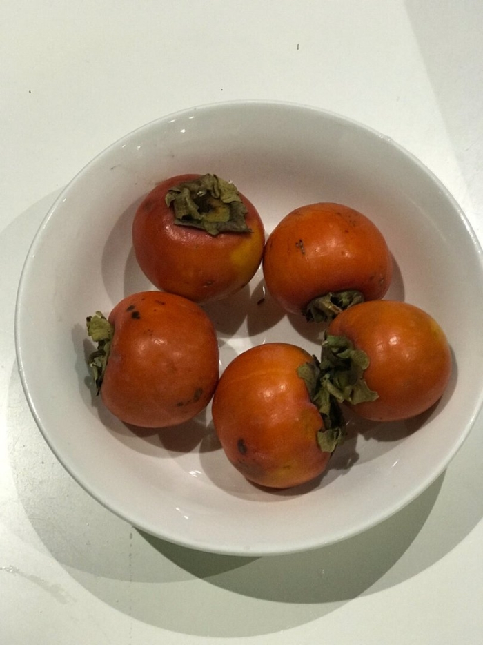 Хурма королек