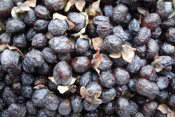 Дикая хурма сушеная