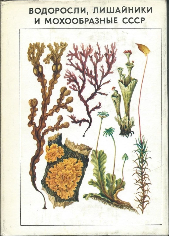 Книга водоросли лишайники и мохообразные ссср