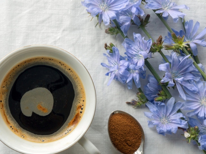 Цикорий напиток