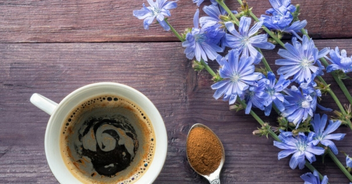 Цикорий кофе