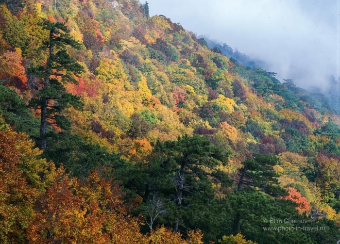 Осень в горах