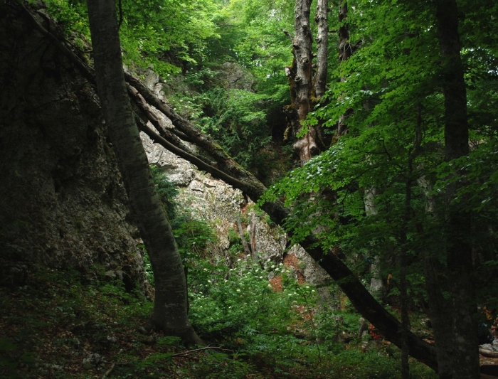 Большой каньон крым