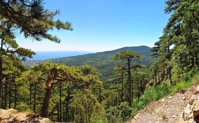 Крымский заповедник ялта