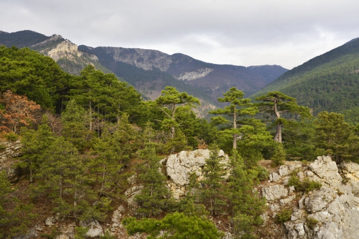Ялтинский горно-лесной природный заповедник