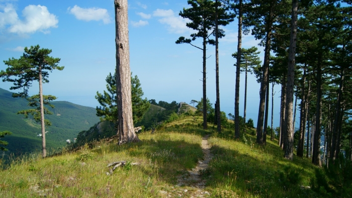 Ялтинский горно лесной заповедник в крыму