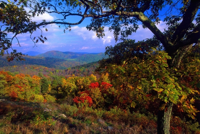 Осенние пейзажи
