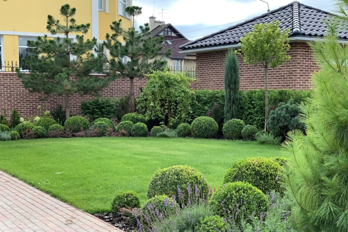 Хвойная композиция в ландшафтном дизайне