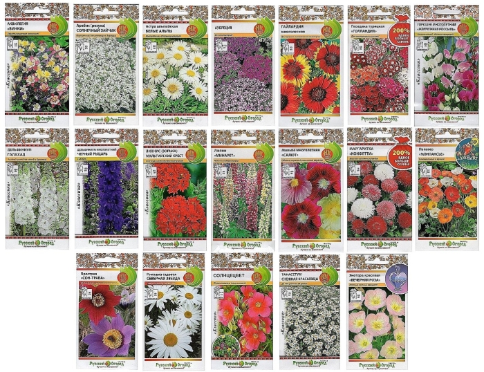 Многолетники семенами каталог