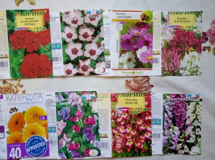 Многолетние цветы семена