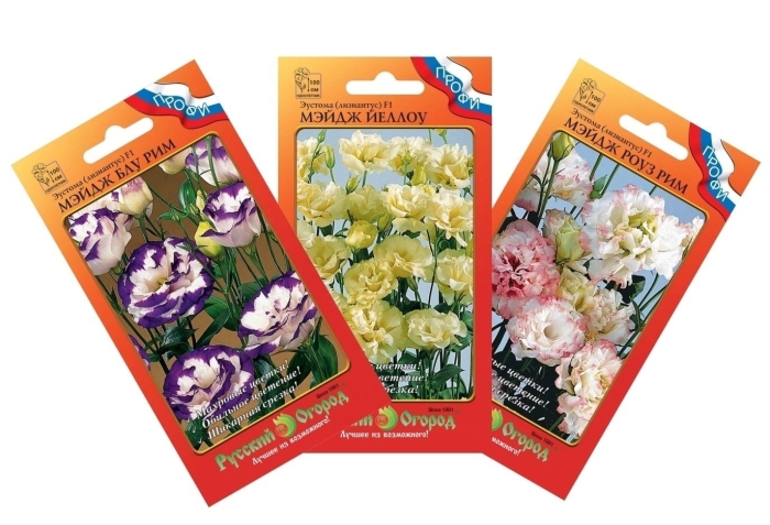 Эустома мэйдж йеллоу f1